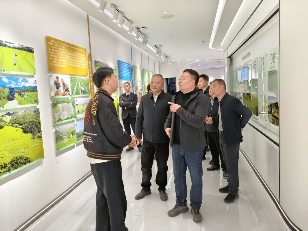 【一图一故事】调研指导明方向 谋划对策促发展